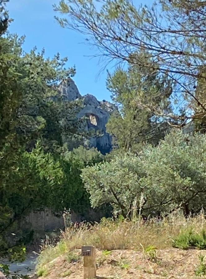 Villa Mas de la Cadenière à Saint-Rémy-de-Provence Extérieur photo