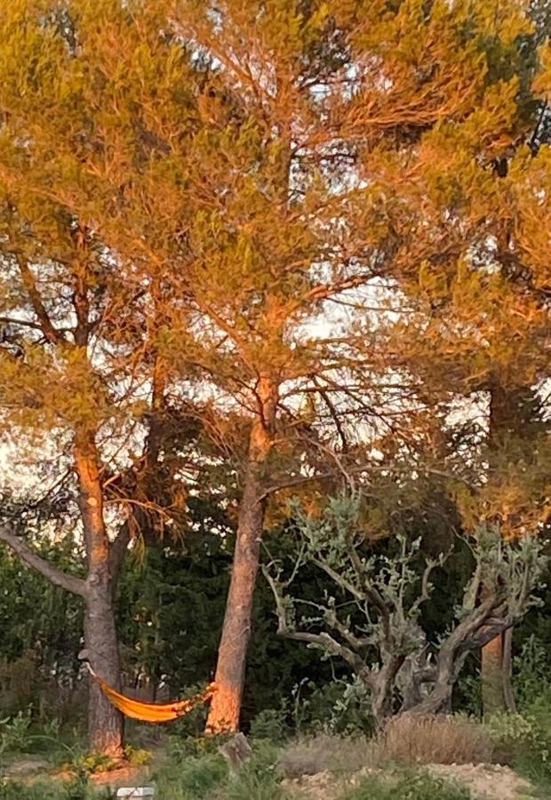 Villa Mas de la Cadenière à Saint-Rémy-de-Provence Extérieur photo